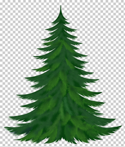 Pine Tree , Transparent Pine Tree , pine tree illustration ...