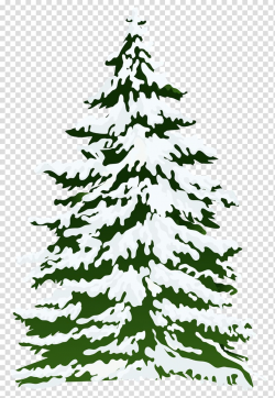 Pine tree covered with snow animated illustration, Pine Snow ...