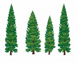 Pine Tree Vector Clipart - Pine Tree Clipart Png ...