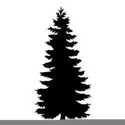 Pine Tree Silhouette Png (+) - Free Download | fourjay.org