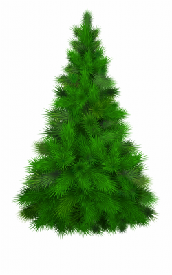Green Pine Tree Png Clip Art - Pine Tree Png Clipart Free ...