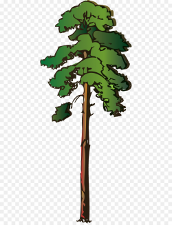 Download for free 10 PNG Pine tree clipart tall top images ...