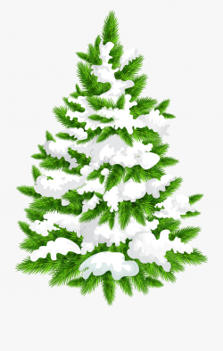 Image Library Library Snowy Tree Png Clip - Tree Png Clipart ...
