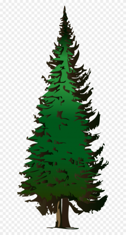 Pine Tree Vector Free Download - Pine Tree Clipart Png ...