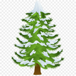 Free Pine Tree Transparent Background, Download Free Clip ...
