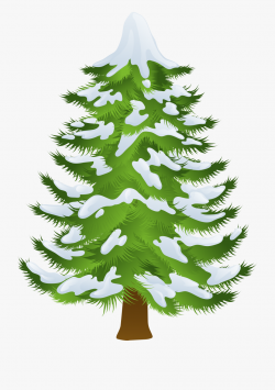 Pine Tree Clipart Png - Winter Pine Tree Clipart ...