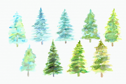 Pine Tree Clipart watercolor 1 - 1160 X 772 Free Clip Art ...