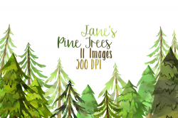 Watercolor Pine Trees Clipart