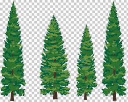 Eastern white pine Tree , Watercolor Christmas Tree PNG ...