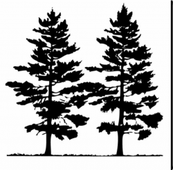 Free Pine Tree Clip Art Pictures - Clipartix | Pine tree ...