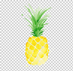 Drawn Pineapple aesthetic 27 - 728 X 713 Free Clip Art stock ...