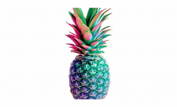 Drawn Pineapple Colourful Fruit - Aesthetic Pineapple ...