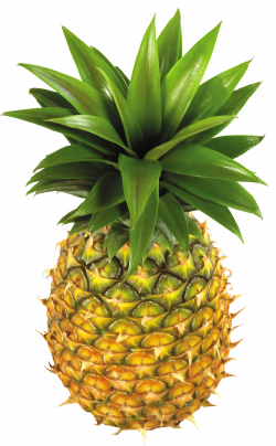 pineapple clip art free clipart images pineapple 2 ...