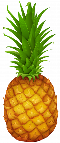 Pineapple PNG Clipart | Gallery Yopriceville - High-Quality ...