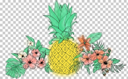 Pineapple Fruit Flower , tropical flower PNG clipart | free ...