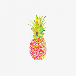 Watercolor Pineapple at PaintingValley.com | Explore ...