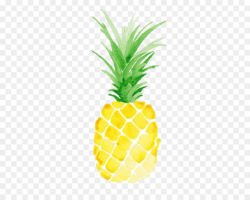 Watercolor Paper clipart - Pineapple, Ananas, Food ...