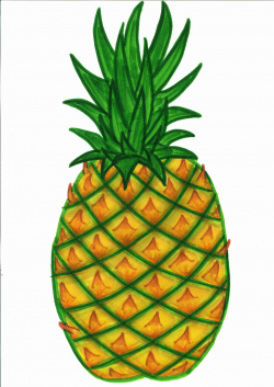 pineapple clipart black and white free - WikiClipArt