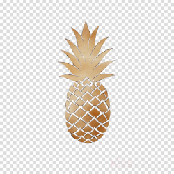 Pineapple, Gold, Ananas, transparent png image & clipart free download