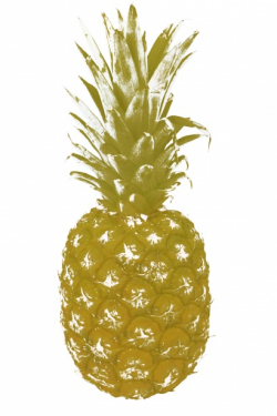 Pineapple Gold Clipart Free Stock Photo - Public Domain Pictures
