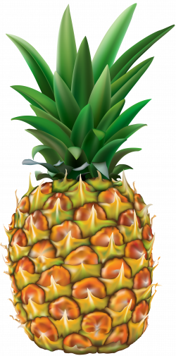 Collection of free Pineapple vector hawaiian. Download on UI Ex