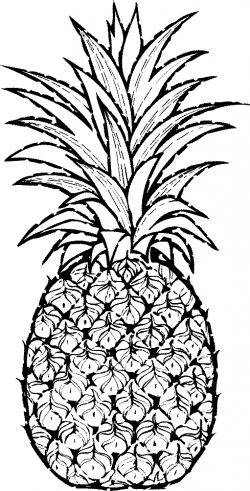 Free Pineapple Cliparts, Download Free Clip Art, Free Clip Art on ...
