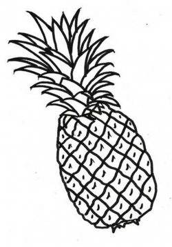 Pineapple Outline | Free download best Pineapple Outline on ...