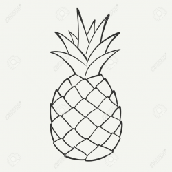 Stock Vector in 2019 | e\'s room | Pineapple drawing, Pineapple ...