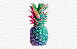 Rainbow Pineapple Clipart (#4240144) - PinClipart