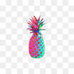 Rainbow Pineapple PNG and Rainbow Pineapple Transparent Clipart Free ...