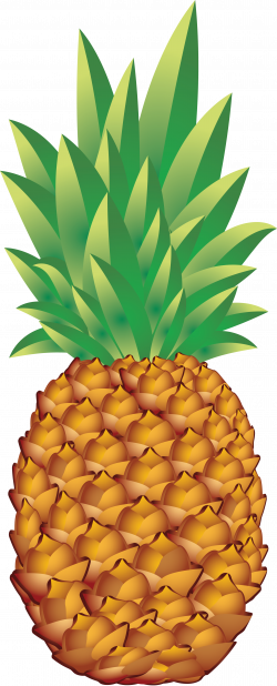 tumblr pineapple - Google Search | Transparent | Pineapple, Food png ...