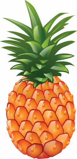 Pineapple PNG Images Transparent Free Download | PNGMart.com