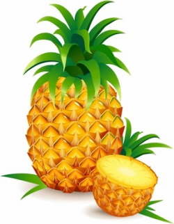 Pineapple free vector download (148 Free vector) for commercial use ...