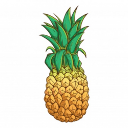 Pineapple Vectors, Photos and PSD files | Free Download