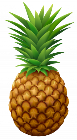 Pin by Obchod Oliver on ANANAS/PINEAPPLE | Pineapple vector ...