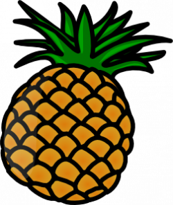 Pineaple clip art - vector clip art online, royalty free & public ...