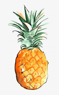 Pineapple, Pineapple Clipart, Watercolor PNG Transparent Image and ...