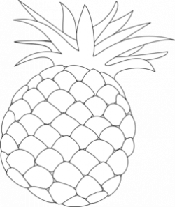 Free Pineapple Cliparts, Download Free Clip Art, Free Clip Art on ...