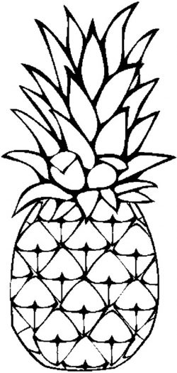 Pineapple black and white pineapple clipart black and white google ...