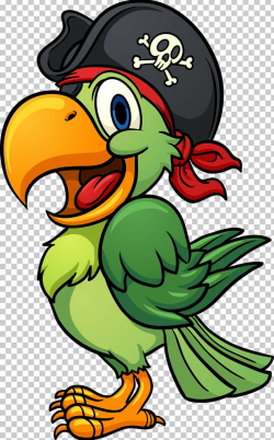 Pirate Parrot PNG, Clipart, Animals, Art, Artwork, Beak, Bird Free ...