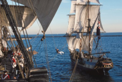 How to sail on a real ship from Disney\'s \'Pirates of the ...