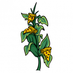 Pizza Plant - Club Penguin Wiki - The free, editable encyclopedia ...