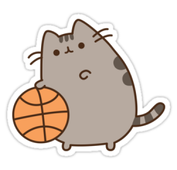 PUSHEEN BASKET