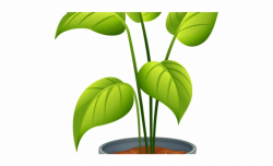 Pot Plant Clipart Topiary - Non Flowering Plants Clipart ...