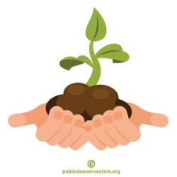 1795 plant free clipart | Public domain vectors