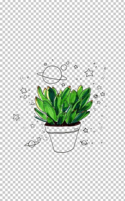 Cactaceae Drawing Succulent Plant PNG, Clipart, 8trackscom ...