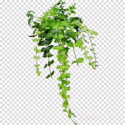 Family Tree Drawing clipart - Art, Drawing, Flower ...