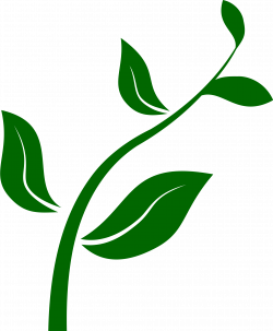 Plants clipart animated, Plants animated Transparent FREE ...