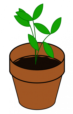 Free Plant Growing Cliparts, Download Free Clip Art, Free ...