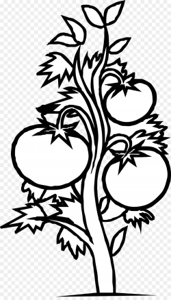 Black And White Flower clipart - Vegetable, Plants, Drawing ...
